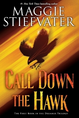 Call Down the Hawk (the Dreamer Trilogy, Book 1) - Maggie Stiefvater
