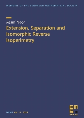 Extension, Separation and Isomorphic Reverse Isoperimetry