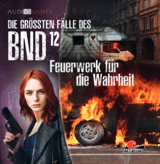 Die größten Fälle des BND 12 - Feuerwerk für die Wahrheit