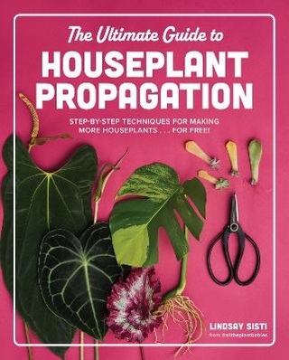 The ultimate guide to houseplant propagation