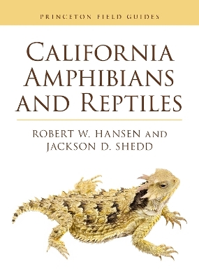 California Amphibians and Reptiles - Robert Hansen, Jackson D. Shedd