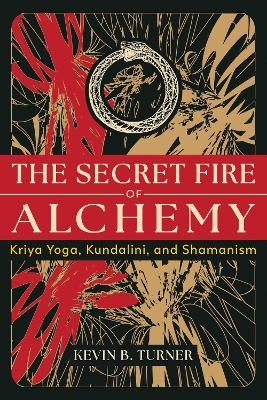 The Secret Fire of Alchemy - Kevin B. Turner