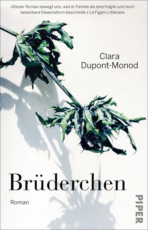 Br&uuml;derchen - Clara Dupont-Monod