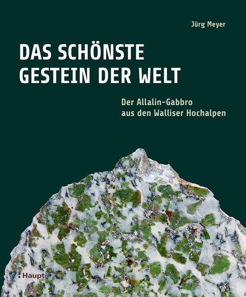 Das sch&ouml;nste Gestein der Welt - J&uuml;rg Meyer