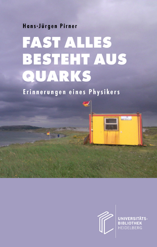 Fast alles besteht aus Quarks