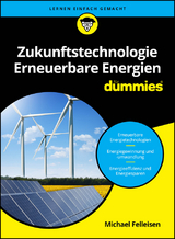 Zukunftstechnologie Erneuerbare Energien f&uuml;r Dummies - Michael Felleisen