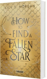 How To Find A Fallen Star - Lily S. Morgan