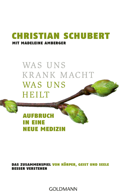 Was uns krank macht &ndash; Was uns heilt - Christian Schubert