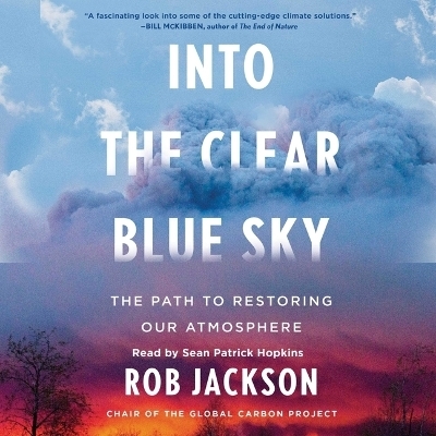 Into the Clear Blue Sky - Rob Jackson
