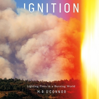 Ignition - M R O'Connor