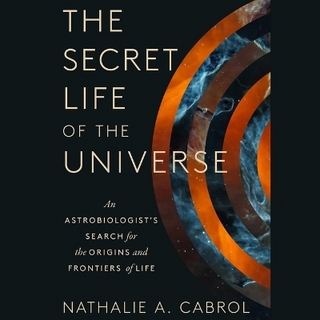 The Secret Life of the Universe