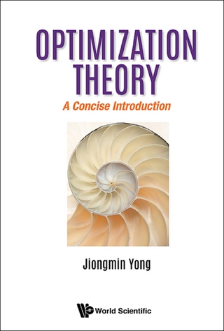 OPTIMIZATION THEORY: A CONCISE INTRODUCTION