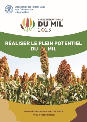 R&eacute;aliser le plein potentiel du mil -  Food and Agriculture Organization of the United Nations