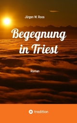 Begegnung in Triest - Ein spannender Politthriller - J&uuml;rgen W. Roos