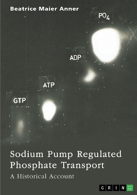 Sodium Pump Regulated Phosphate Transport