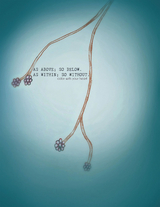 As Above, so Below; as Within, so Without - Hawa Damissa