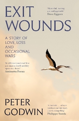 Exit Wounds - Peter Godwin