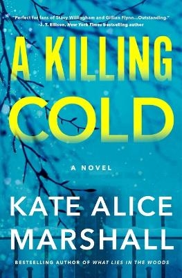 A Killing Cold - Kate Alice Marshall