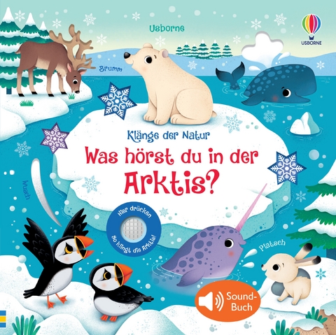 Kl&auml;nge der Natur: Was h&ouml;rst du in der Arktis?