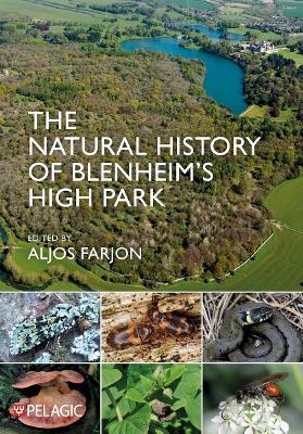 The Natural History of Blenheim&rsquo;s High Park - 