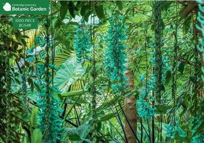 Jade Vine 1000 Piece Jigsaw Puzzle - 