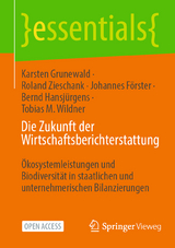 Die Zukunft der Wirtschaftsberichterstattung - Karsten Grunewald, Roland Zieschank, Bernd Hansjürgens