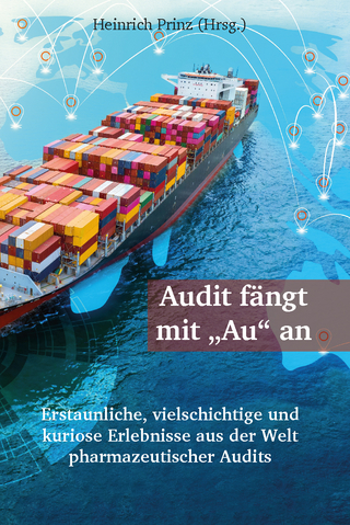 Audit fängt mit 