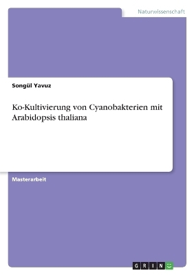 Ko-Kultivierung von Cyanobakterien mit Arabidopsis thaliana