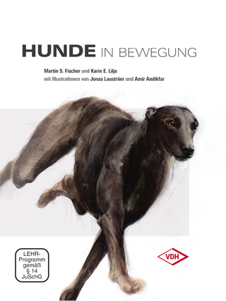 Hunde in Bewegung
