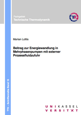 Beitrag zur Energiewandlung in Mehrphasenpumpen mit externer Prozessfluidzufuhr
