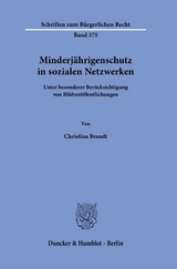 Minderj&auml;hrigenschutz in sozialen Netzwerken - Christina Brandt