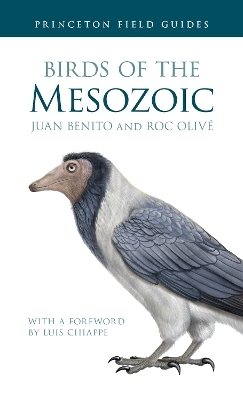 Birds of the Mesozoic - Juan Benito, Roc Oliv&eacute;