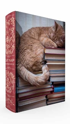 Cat Nap Book Box Puzzle - Gibbs Smith