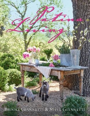 Patina Living - Steve Giannetti, Brooke Giannetti