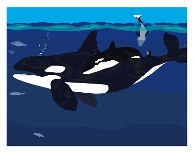 Puget Sound Orca Mother and Baby Art Print 11x14 - Michael Schafbuch