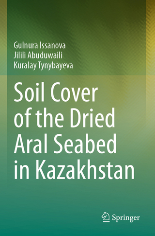 Soil Cover of the Dried Aral Seabed in Kazakhstan