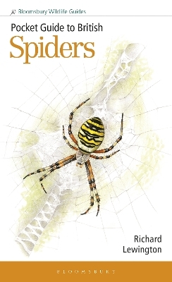 Pocket Guide to British Spiders - Richard Lewington