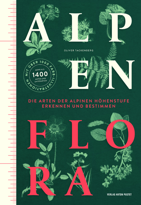 Alpenflora - Oliver Tackenberg