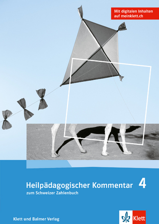 Heilpädagogischer Kommentar zum Schweizer Zahlenbuch 4