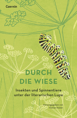 Durch die Wiese - 