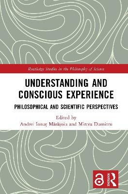 Understanding and Conscious Experience