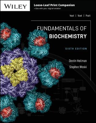Fundamentals of Biochemistry - Destin Heilman, Stephen Woski, Donald Voet, Judith G. Voet, Charlotte W. Pratt