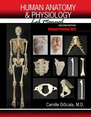 Human Anatomy and Physiology Lab Manual