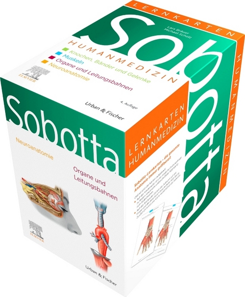 Sobotta Lernkarten Humanmedizin - Lars Br&auml;uer, Michael Scholz