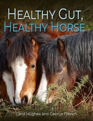 Healthy Gut, Healthy Horse