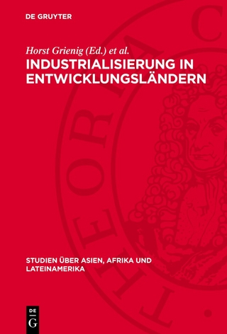 Industrialisierung in Entwicklungsländern