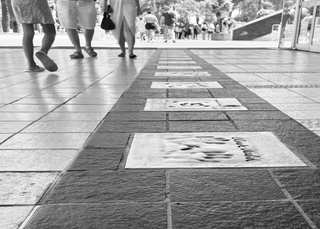 Black & White Collection