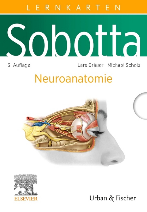 Sobotta Lernkarten Neuroanatomie - Lars Br&auml;uer, Michael Scholz