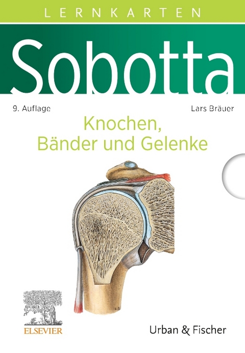 Sobotta Lernkarten Knochen, B&auml;nder und Gelenke - Lars Br&auml;uer