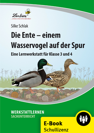 Die Ente - einem Wasservogel auf der Spur